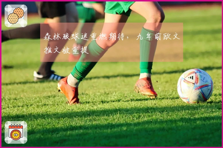 森林狼球迷重燃期待，九年前欧文推文被重提