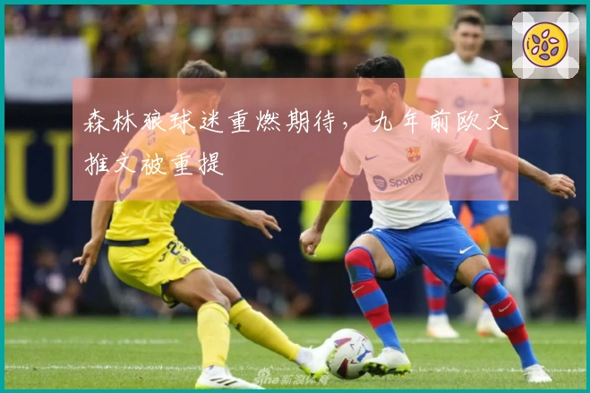 森林狼球迷重燃期待，九年前欧文推文被重提